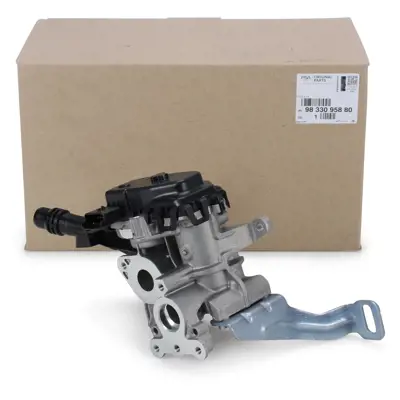 PSA 9833095880 Egr Vanası 9807369980, 3642494, 9833095880, 980736998002, 9827225180