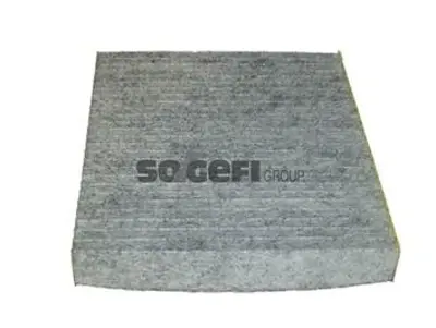 PURFLUX AHC262 Polen Filtresi P4007-Cıtroen C-Crosser Karbonlu Cuk2141 272774KH0A, 272775XA0A, 7803A005, A4708350000