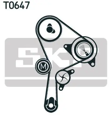 SKF VKMA 06127 Eksantrik Gergi Kiti (132×260) Master Ii Trafic Ii Laguna Ii 1.9dci (01 ) Movano Vivaro (01 ) (F9q) 4430891, MW30621589