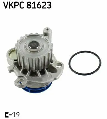SKF VKPC81623 Devirdaim Golf Iv Passat Leon Cordoba A3 A4 Superb 1,9 Tdı 2,0 Tdı Avf Avm Bkd Cbab Cbbb Awx Ajm Atj 38198119E