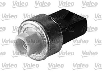 VALEO 509666 Basınc Musuru Ford E35819E561AA