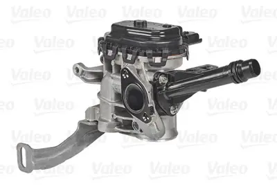 VALEO 700455 Egr Valfı 3642494, 9807369980, 9833095880, 980736998002, SU001A3998
