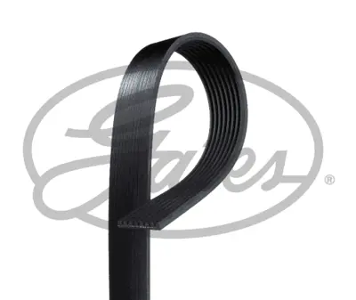 GATES 8PK2070HD V Kayısı 2014067 3972379