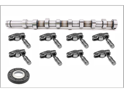 INA 428005630 Eksantrik Mil+8itici+8 Horoz+keçe 1.6d Eur5 Pgt.Fo 0801fc AV6Q6250BA T1965 C369 CAM969 CM052256 801FC 1685737 CP15042 50007674 HV0346