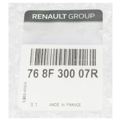 RENAULT 768F30007R Cıta Arka Kapı Sag Master Iıı 12>16 768F30007R 4419556 93197652