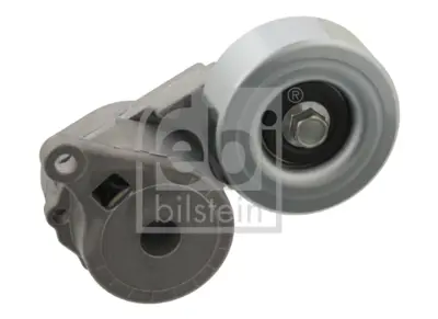 Febi Bilstein 31215 Alternatör Gergi Rulmanı Mıtsubıshı Grandıs-Lancer-Outlander I 2,0- T-2,4 2003> 534028510 80931215 ADC49628 APV2762 N2105 N2105S T0423 T38413 VKM65009
