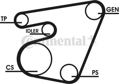 Continental 6PK1767D1 Krank Kasnagı V Kayıs Set Transporter T4 Volt Lt35 2,4d Crafter 2,5tdı Anj Acv Apa Aat Aab 21652976