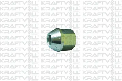 KRAFTVOLL 21032059 Bıjon Somunu Master Movano                              