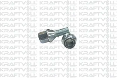KRAFTVOLL 21031806 Bıjon Cıvatsı Ym Delıklı Tıp Megane Clıo 