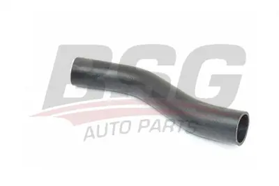 BSG 15-720-115 Turbo Hortumu ESR2309 BSG15720115 700554 BTH1431 15720115 V480183 DCI028TT L980369 FTH1431 41304443