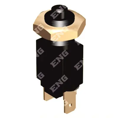 ENG 07 0701 Fren Musuru Bmc 