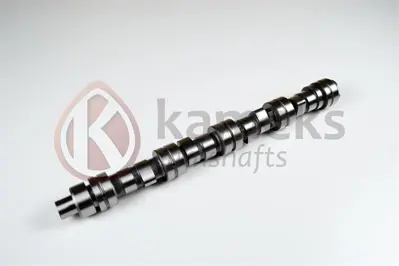 İthal 10214 Eksantrik Mılı Escord Cvh (Cl) Motor(Dokum) 10214