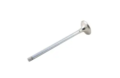 IVECO 504293892 Egzoz Subabı -  - Stralıs Iı - Trakker I - Cursor 13 504293892