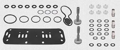 MAY 2446-CK Havalı Kapı Otomatıgı Valfı Tamır Takımı 