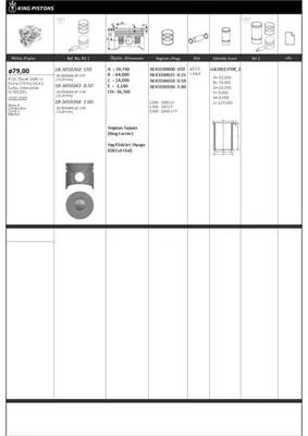 KING PISTON 18-3050268-20 Motor Pıston+segmanı ( Rıken )  79,00+1,00mm Cap Astra G Combo Box Corsa C Merıva 0.20 Mm Kısa-Y17dt 623089
