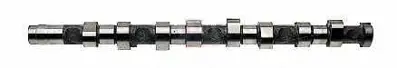 GEMSAFT PTPRT03 Eksantrık Mılı Partner Iı Berlıngo Iı P307 P406 Ym P407 C4 C5 Expert Jumpy Scudo P806 Evasıon Boxer 801T5