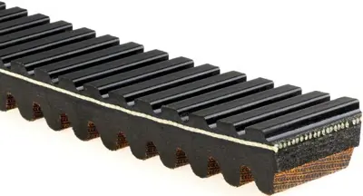 GATES 23G3836 V Kayısı 23G3836