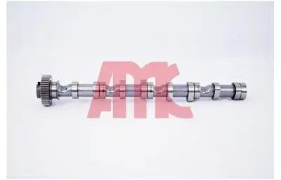 AMC 647290 Eksantrik Mılı GM 03L109021