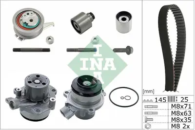 INA 530 0699 32 Trıger Setı 04L198119J