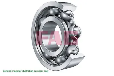 FAG 6005 2RSR Rulman 41616900