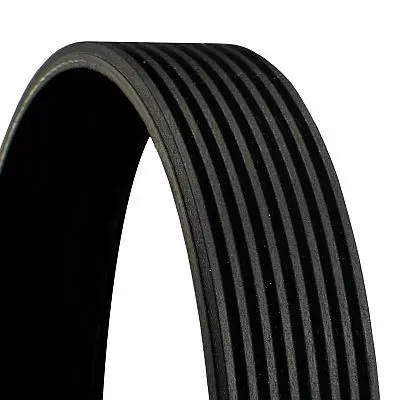 Continental 8PK800 V Kayısı 978207
