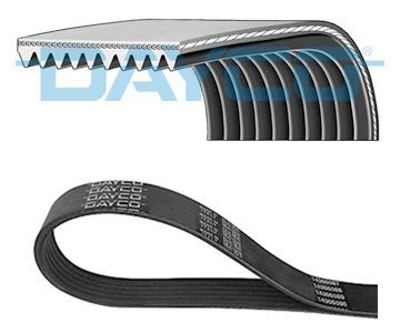 DAYCO 10PK2495HD V Kayısı 2447572