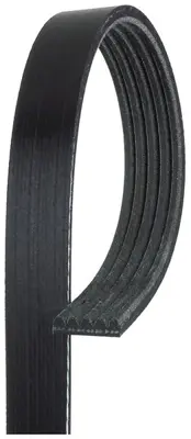 GATES 5PK1230SF V Kayısı 2521203050