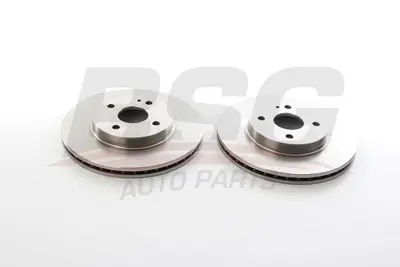 BSG 55-210-013 Fren Dıskı Ön DF7133251A