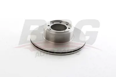 BSG 42-210-005 Fren Dıskı Arka 2996043