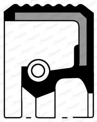 PAYEN NB697 Yag Kecesı Opel Astra F G Combo Corsa A B Kadett D E Vectra A B C Zafıra ZRBM703R 646262 PX0524R 606000BW3992 51337020660 ZRBM24R 350103298000 LTBM24R 30919 WRL1008R