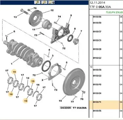 PSA 0113.F1 Ana Yatak Std Tu5jp4 106 206 307 Partner Berlıngo C4  4 Adet  Sıyah 113000000 113000000 113000000 113000000 113000000