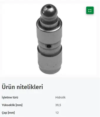 AE VFOL103 Subap Itıcı Renault Clıo Iı Kangoo 14 16v 99- 7700107555 60921005 WG1172046 221820 93160086 CP41471 WG1017732 WG1009697 207048 EC6013