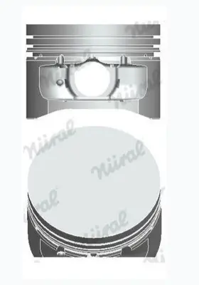 GOETZE 8743350000 Pıston 77.00 Mm Std Mını Cooper R50 1.6ı 01-07 W10b16 