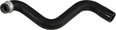 RAPRO R15518 Radyatör Üst Hortumu Evasıon-Expert-Jumpy 19td 1343N2 1473338080 8708 17850 T408484 S3048 156344A 53208 V420761 DWP092TT