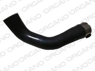 UCPA 31H101831 Turbo Hortumu Clıo Iv 1.5dcı  Sarma 144600199R 764732 97447 T497447 535625 AS535625 144609191R 224808 R12798 A4150900242