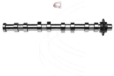 ESTAŞ EST14058 Eksantrık Mılı Eksoz Peugeot Cıtroen Ford Dw6 1 6 Hdıdokum 0801.AH