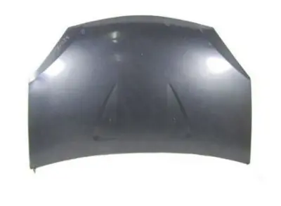 RENAULT 6001551793 On Kaput Sandero 54957691 6001551793 DA2203100 4455000 20401301 6001551350 831700 1506660 1001100 LAML05021