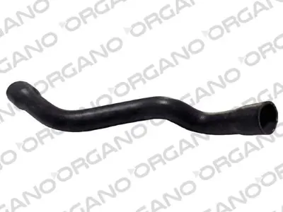 UCPA 10H12846 Radyator Hortum E200 E220 E320 E420fırsat 2105011382 A2105011382 195019982 241282A 222515