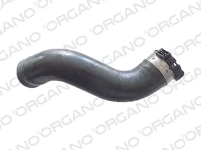UCPA 31H101851 Turbo Hortum Sılıkon Clıo Iv Lodgy Dokker1.5dcı 144609034R 144608294R 700801 15128 2400489 11193 224741 90812 1657500Q0C YSTIH0663H