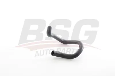 BSG 60-720-366 Kalorıfer Hortumu A2028326494