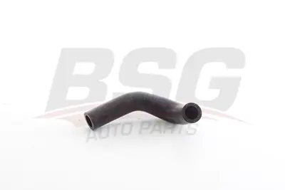 BSG 41-720-003 Hortum 8943822460