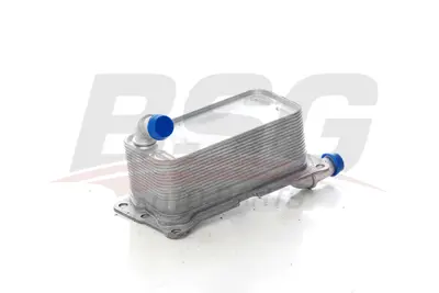 BSG 60-506-011 Sanzuman Yağ Sogutucu A2465010501