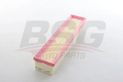 BSG 75-135-014 Hava Filitresi 8200023480