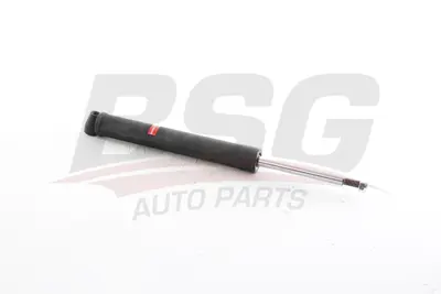 BSG 81-300-001 Amortısör Ön Q0008598V004