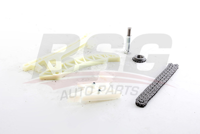 BSG 15-102-027 Eksantrik Zıncır Seti 11318648732