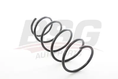 BSG 15-305-017 Helezon Yayı Ön 31331090758