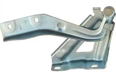 BSG 25-975-041 Motor Kaput Menteşesi Sol 1352919080 T443554 26546 FT94095 43554 7912E4 767674