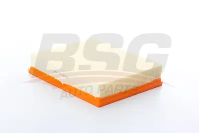 BSG 63-135-003 Hava Filitresi 16546-4JA1A