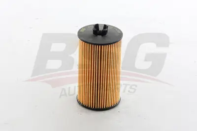 BSG 65-140-008 Yağ Filitresi 55594651 5650359 650172 93185674 95526685