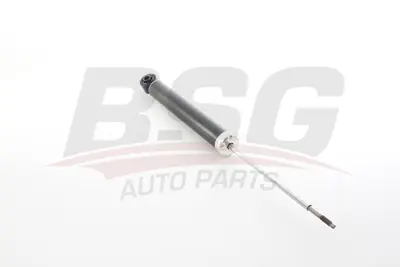 BSG 75-300-022 Amortısör Arka 562109815R
